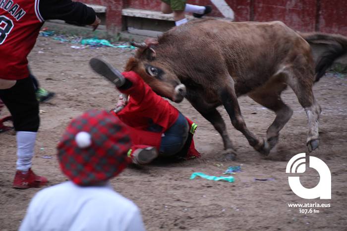 Zezenak adarrak okerrak ditu 12 1488277220193