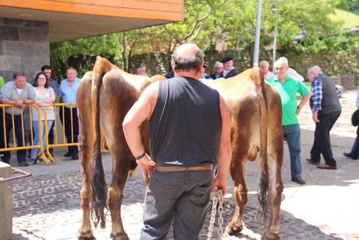 Idi erakustaldia Asteasuko p 9 1494859839990