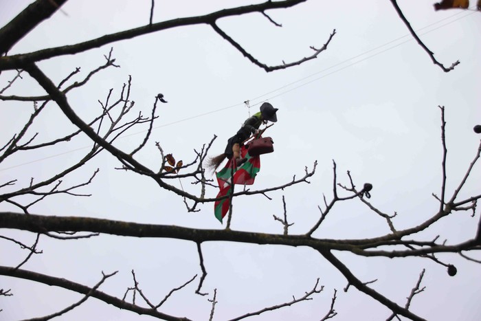 Amasarrak gaztetzen dituen eguna - 40