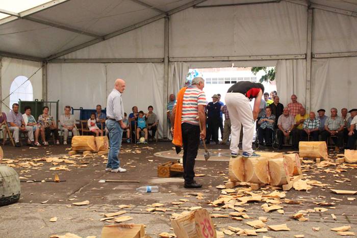 Asteasuko Festak 2016-Erretirodunen Eguna 20 1467297793271