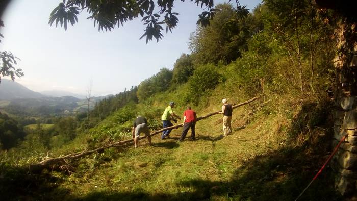 Iritzibar karobia, Zizurkil  3 1516092801041