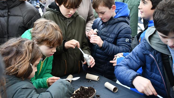 Hazi tailerra, bigarren urtez