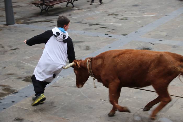 Zezenaren aurrean korrika 9 1551703466887