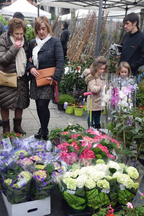 Zuhaitz Azoka, Tolosa, 2017 13 1486819638131