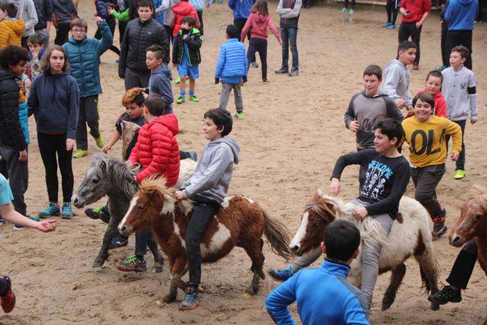 Txaranga eta zezenak piñata  28 1488738886777