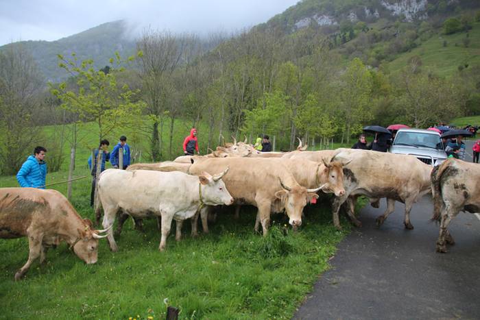 Aralarko larre irekiera 81 1462122151463