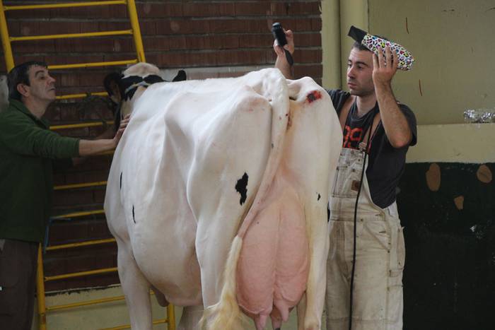 Frisoi Txapelketa 2015 7 1447530177354