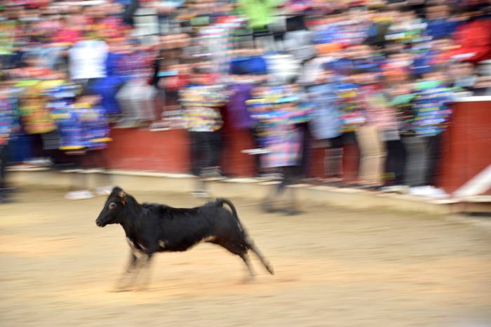 xexenak ostiral mehea 44 1645807736188