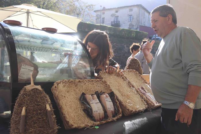 Zer ikusi izan da Bedaion 11 1668343698481