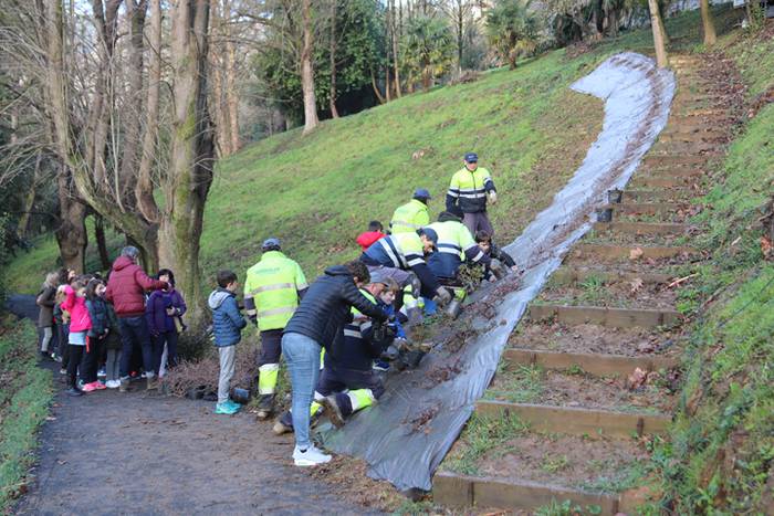 Tolosako ikasleek zuhaitzak  7 1520435455770