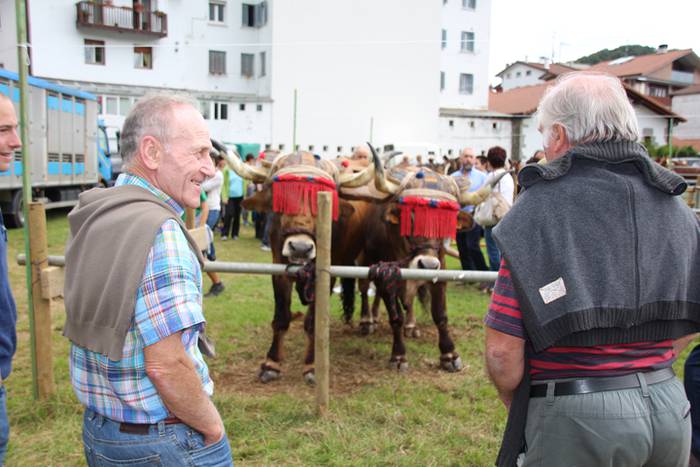 Hutsik egiten ez duen azoka berezia 30 1474813284596