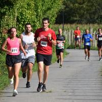 San Silvestre