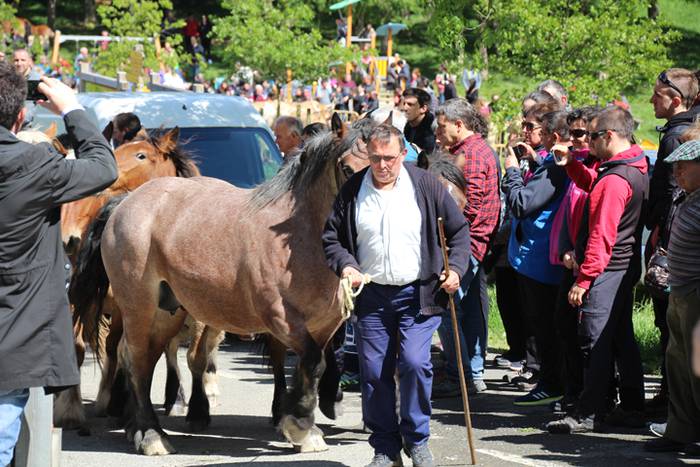 Larre irekiera Larraitzen 20 65 1493640057318