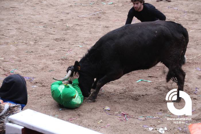 Zezenak adarrak okerrak ditu 25 1488277298847