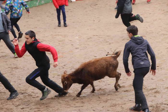 Txikienak zezen txikien aurr 37 1552240896814