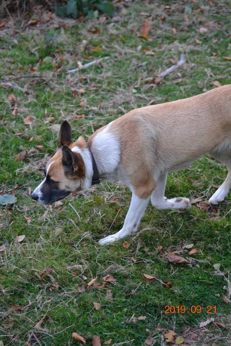 Mendiz mendi Lizartza 2019 20 1569225887894