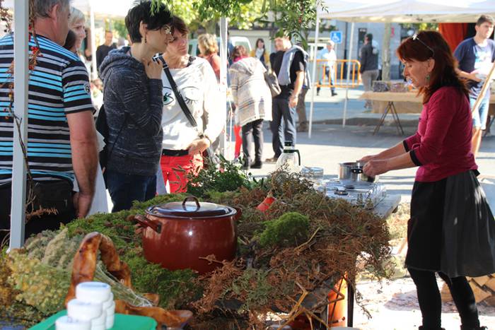 Euskal jaia eguna Anoetan 27 1476015544043