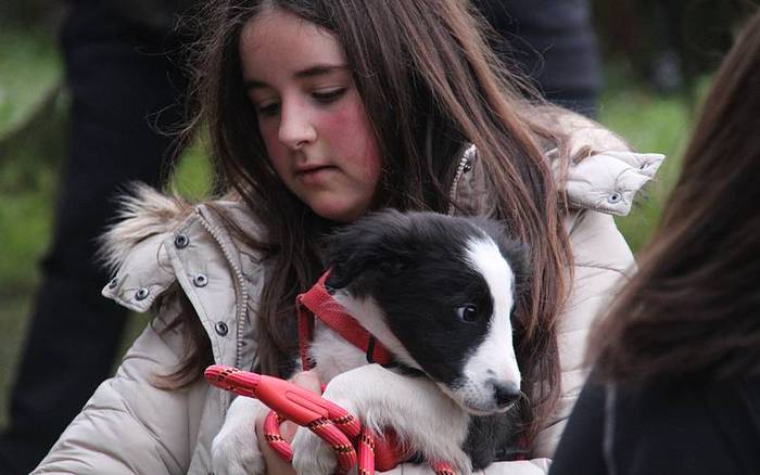 san anton berastegi 2016 5 1453114658415