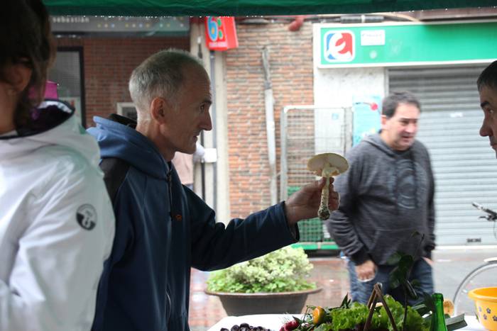 Euripean ere, herritarrentza 2 1506856147291