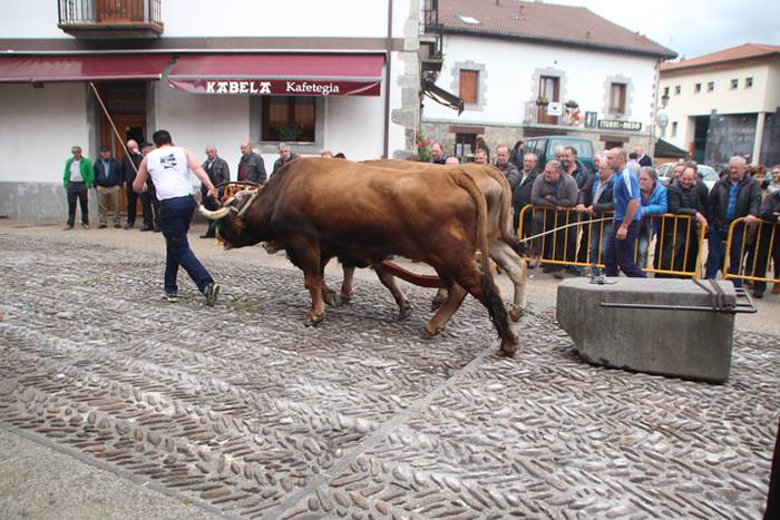 San Isidro Eguna Amasa Astea 25 1526395822796
