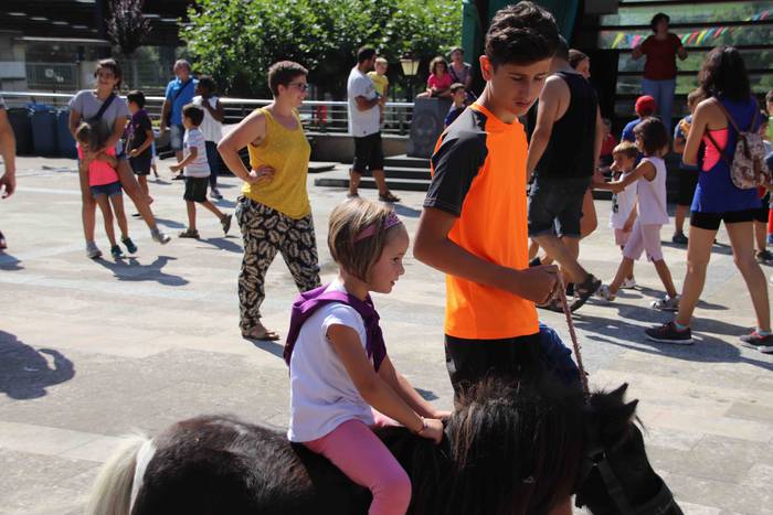 Festak hasteko, poniak eta z 6 1566993967223