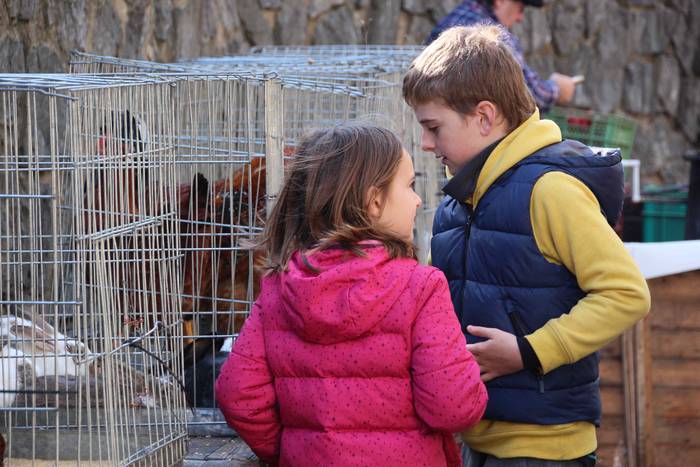 Denetik eta denentzat, Bedai 25 1541343481151