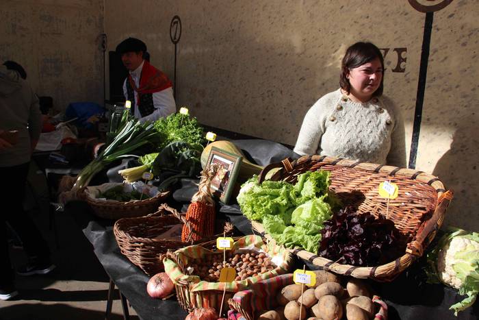 Denetik eta denentzat, Bedai 12 1541343292326