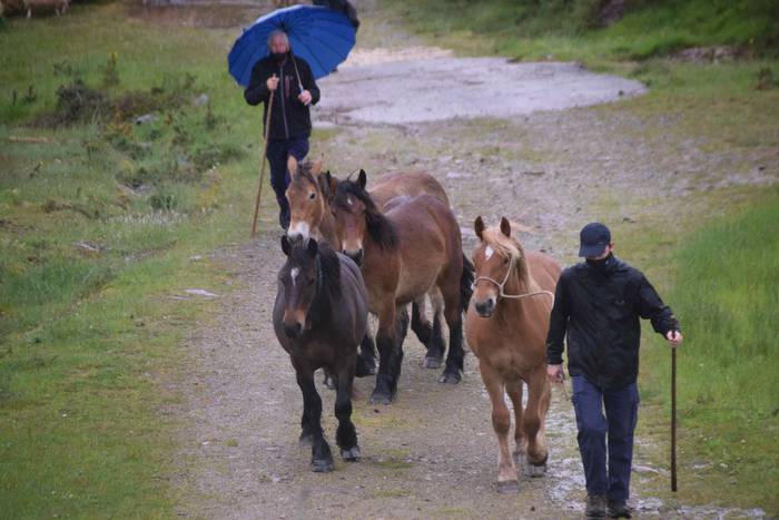 Larre irekiera Berastegi 202 6 1621072166538