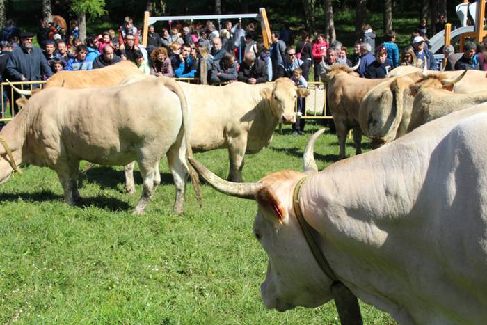 Larre irekiera Larraitzen 20 46 1493639937355