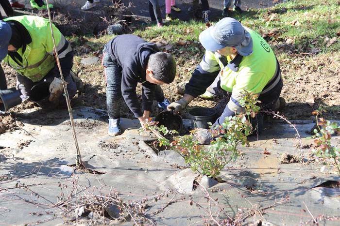 Tolosako ikasleek zuhaitzak  24 1520435570030