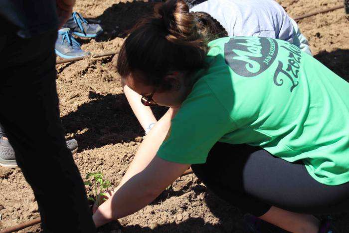 Erein dituzte lehen piperrak 10 1559303463083