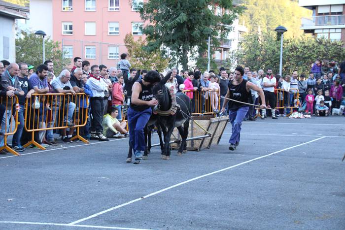 Gazteak nagusi, ximaurra gar 36 1507490634441