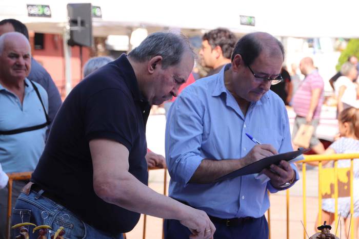 "Ibarra, Azoka eta Piparra" 78 1537103638386