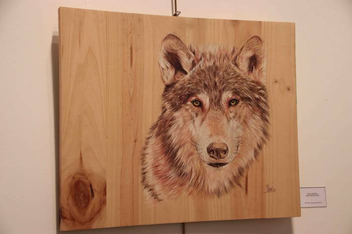 ander ortiz de murua aldaket 3 1542897001484