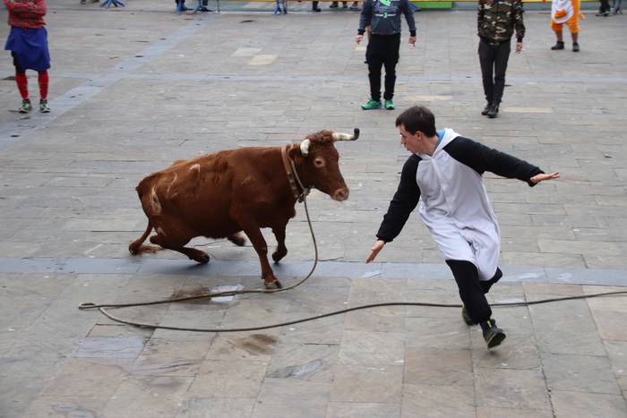 Zezenaren aurrean korrika 8 1551703454944