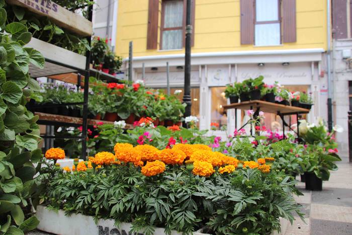 Lore eta Landare Azoka 2019 8 1558171898178