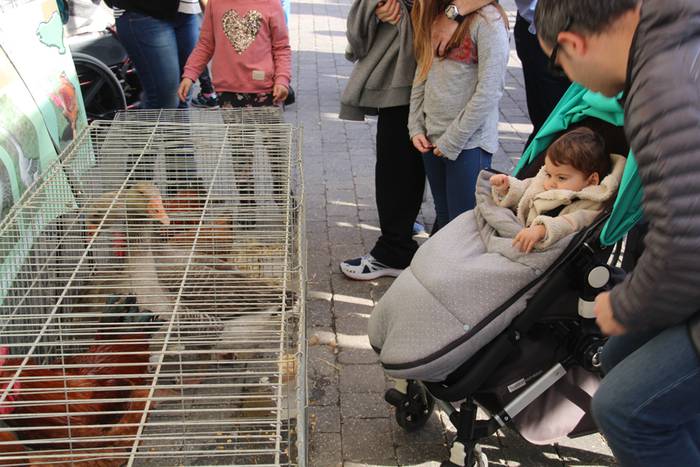 Tolosa Gabonetako Azoka berezia 2015 38 1450532627573