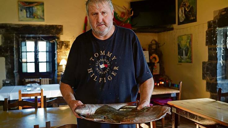 Hernialdeko parrilla bereizgarria