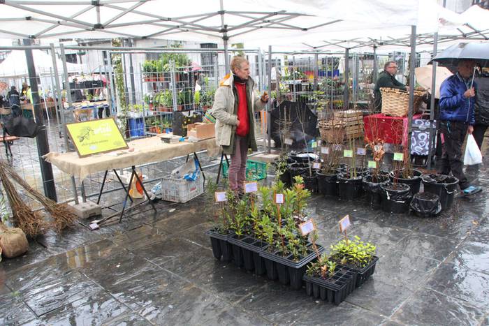 Zuhaitz Azoka Tolosan 2016 27 1456601476058