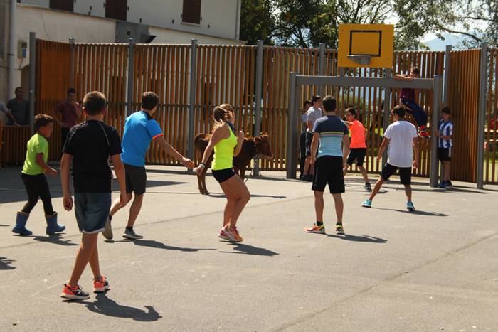 Hernialdeko Jaiak 2017 42 1502714748843