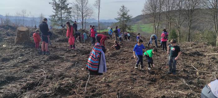 Zuhaitz Eguna ospatzen ari d 23 1644670100049