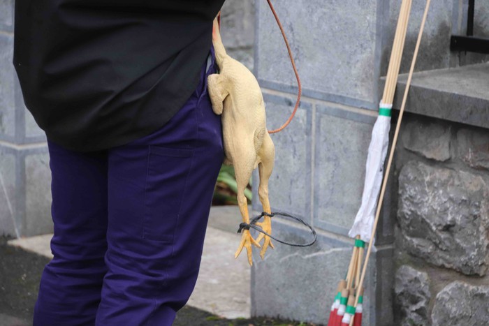 Amasarrak gaztetzen dituen eguna - 41