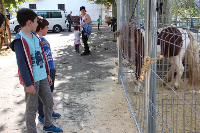 Goizez lan, arratsaldez fest 16 1572186206870