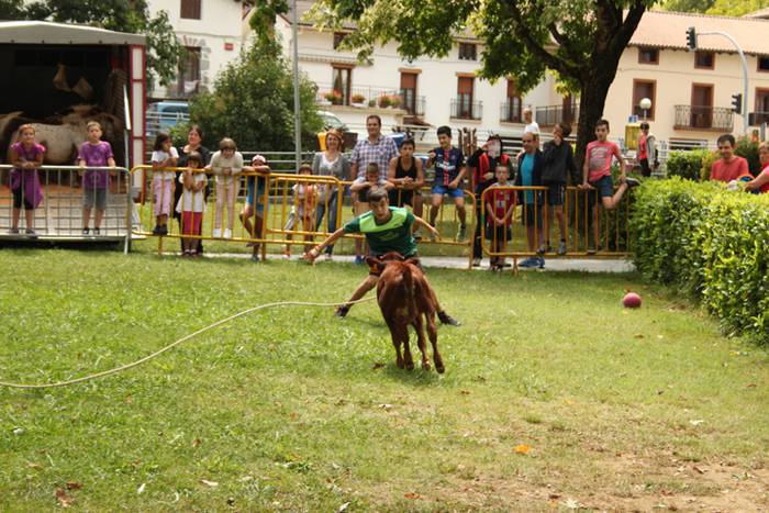 Ikaztegietako Jaiak 2017, um 28 1502457342532