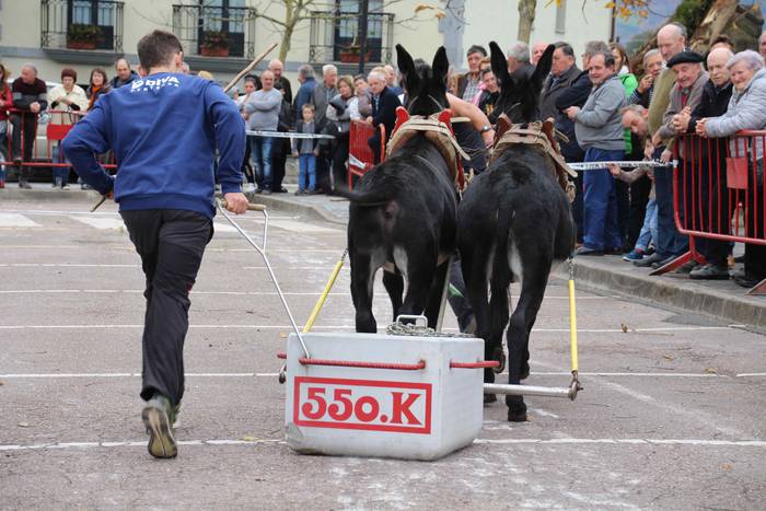 Idiek irabazi diete astoei A 23 1541962241642