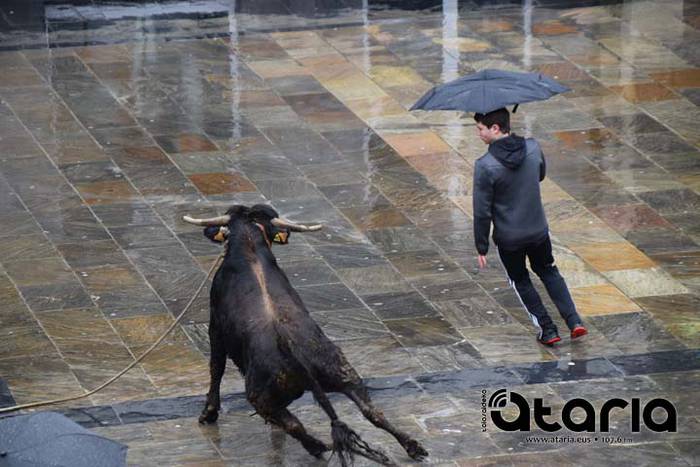 Inauteriak 2018, sokamuturra 47 1518438071811