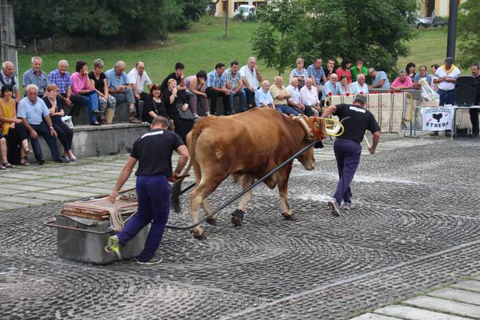 Hurrengo Ama Birjinari begira 38 1471367019190
