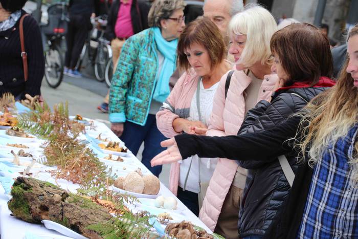 mikologika 2018 azoka pintxo 16 1540038250522