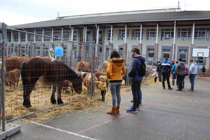 Berastegiko gaztarik onena A 38 1608397927299