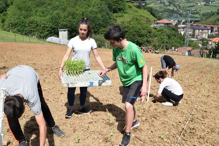 Piper landaketa Ibarran, 201 48 1494844567042